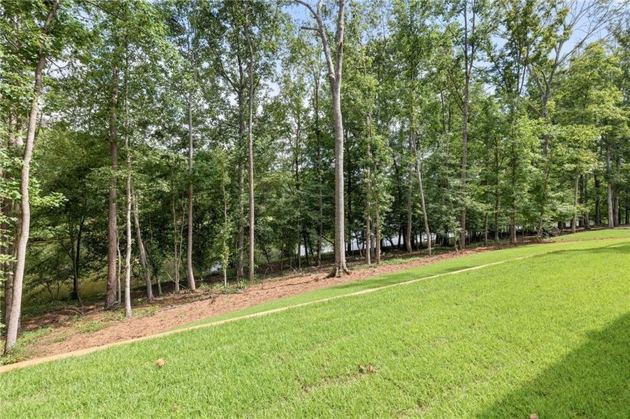 Natural landscape and outdoor views near  in Nicholson (Image 75).