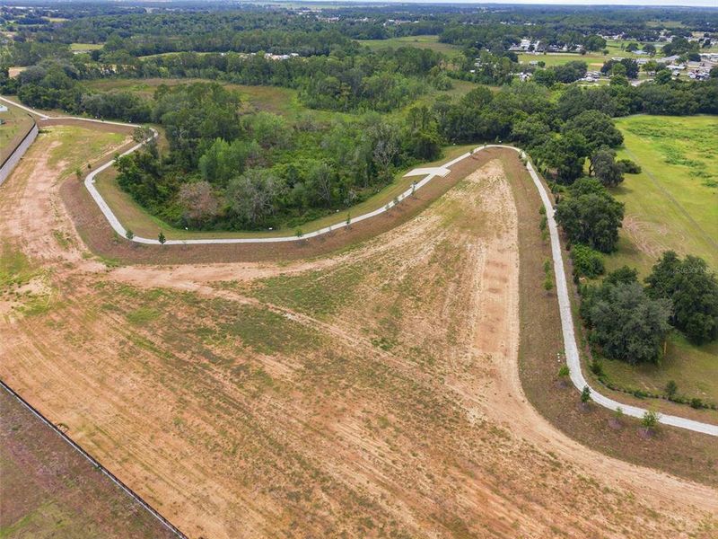 Site preparation for new homesites in , Clermont (Image 40).