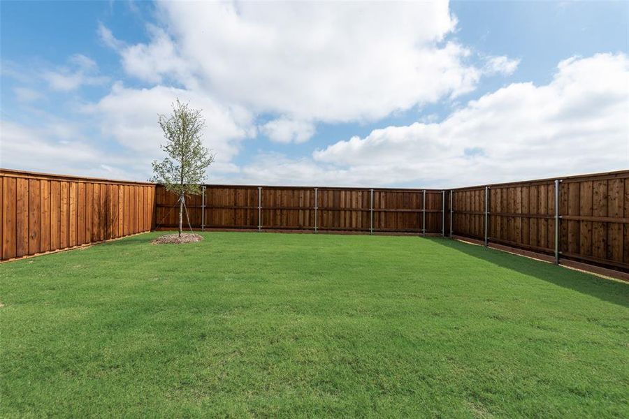Exterior details and patio area of a home in Spiritas Ranch, Little Elm (Image 3).
