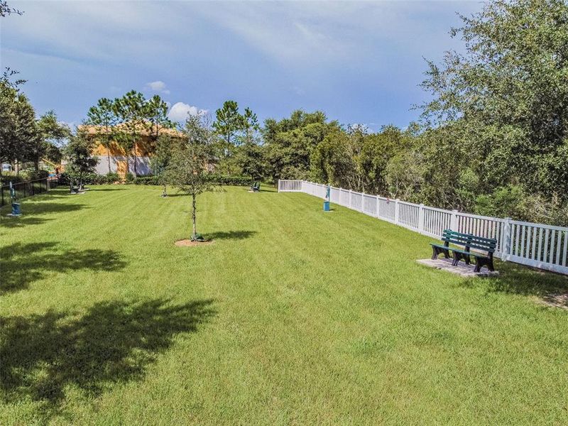 Image 81 of a home in Westgate at Avalon Park.