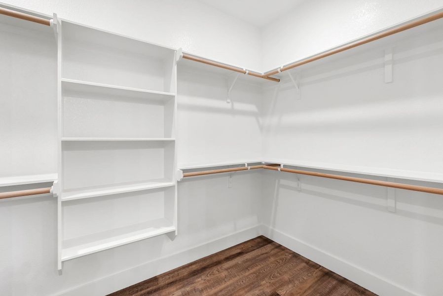 Walk in closet featuring dark wood-style flooring