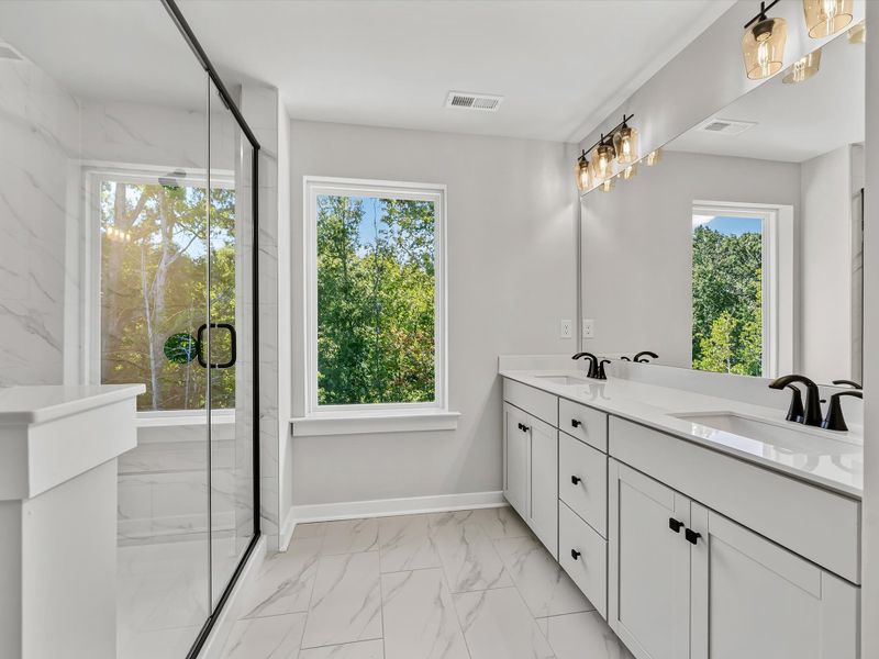 Owner's Bath