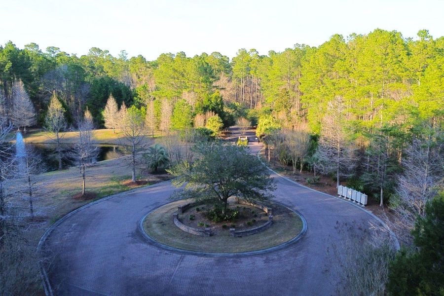 Natural landscape and outdoor views near  in Moncks Corner (Image 19).