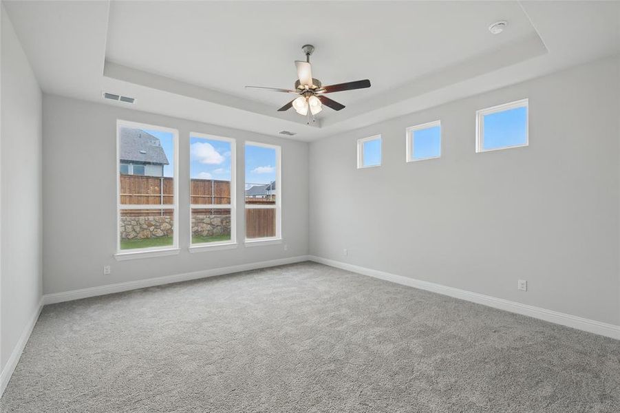 Spare room with a raised ceiling, carpet floors, and healthy amount of natural light Spare room with a raised ceiling, carpet floors, and healthy amount of natural light