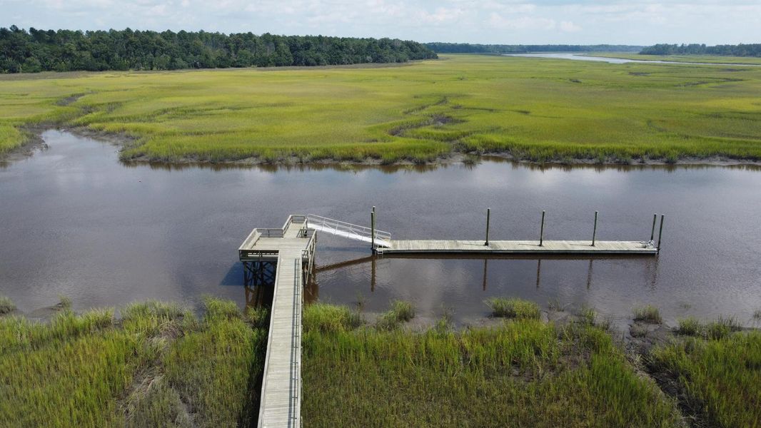 Natural landscape and outdoor views near Rivers Reach in Yemassee (Image 33).