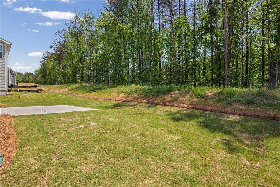 Image 39 of a home in Sage Woods.