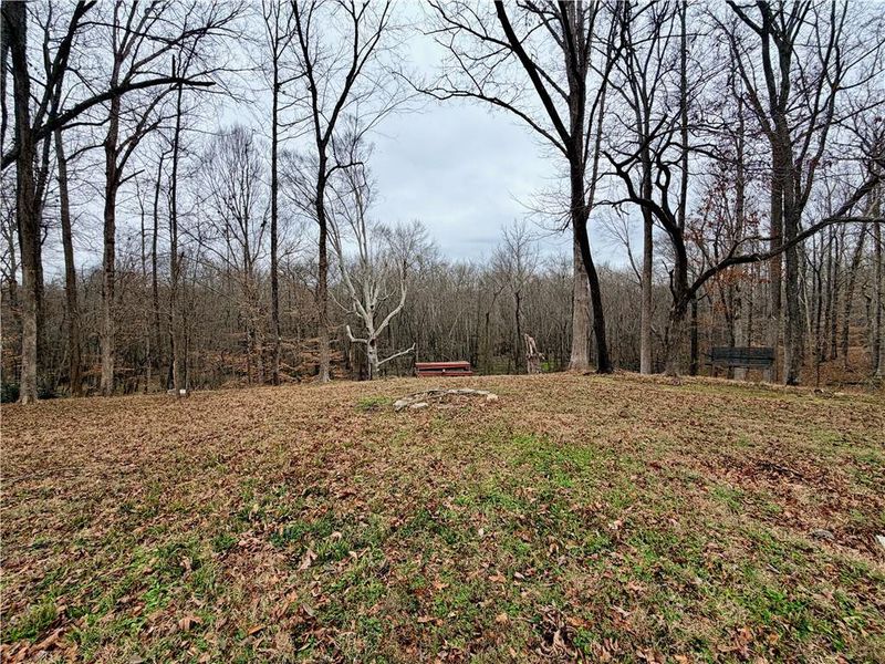 Natural landscape and outdoor views near  in Covington (Image 9).