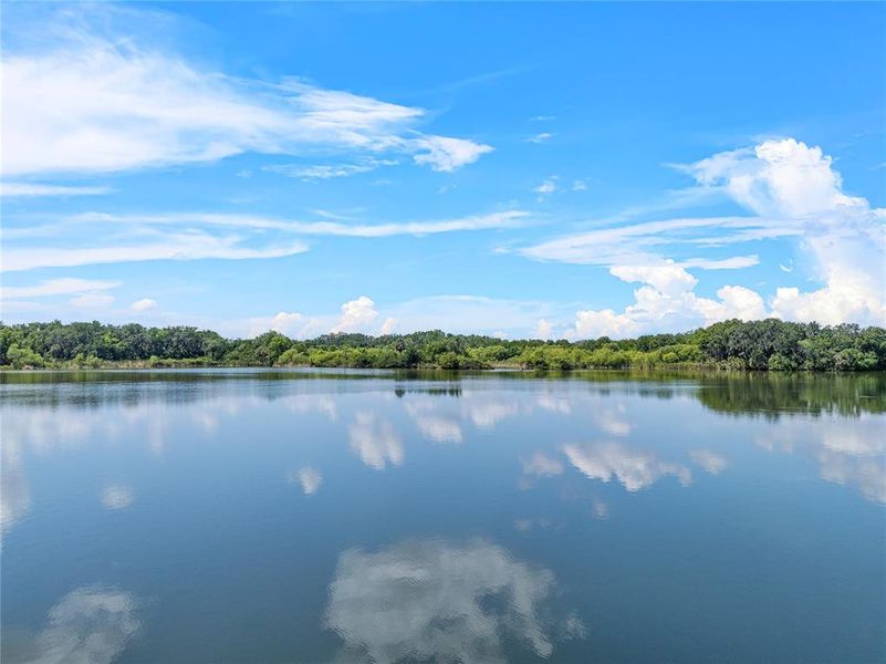 Natural landscape and outdoor views near  in Mulberry (Image 40).
