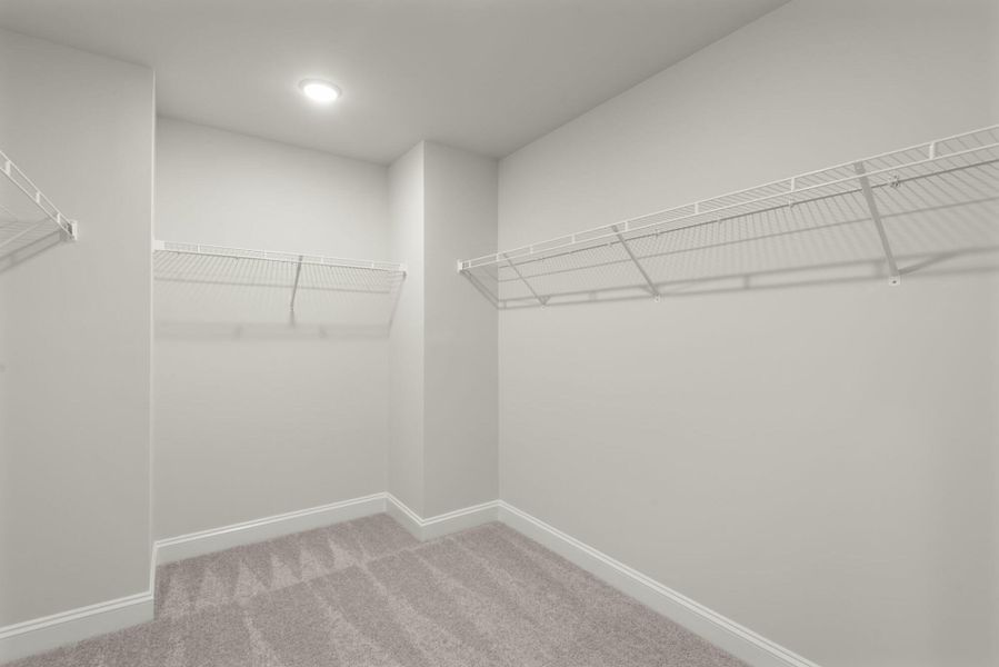 Spacious, unfurnished interior of a new home in Wexford, Elon (Image 44). Spacious, unfurnished interior of a new home in Wexford, Elon (Image 44).