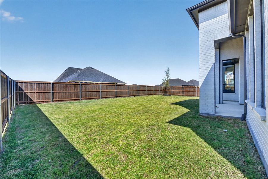 Backyard