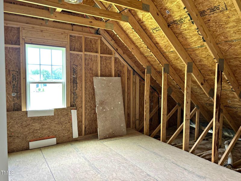 20250713_123646_479AF8