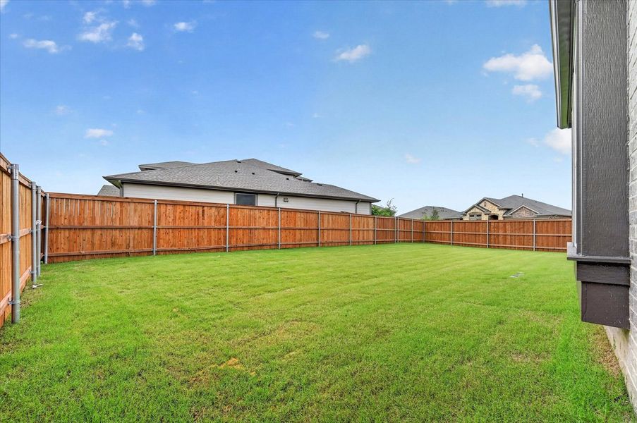 Backyard