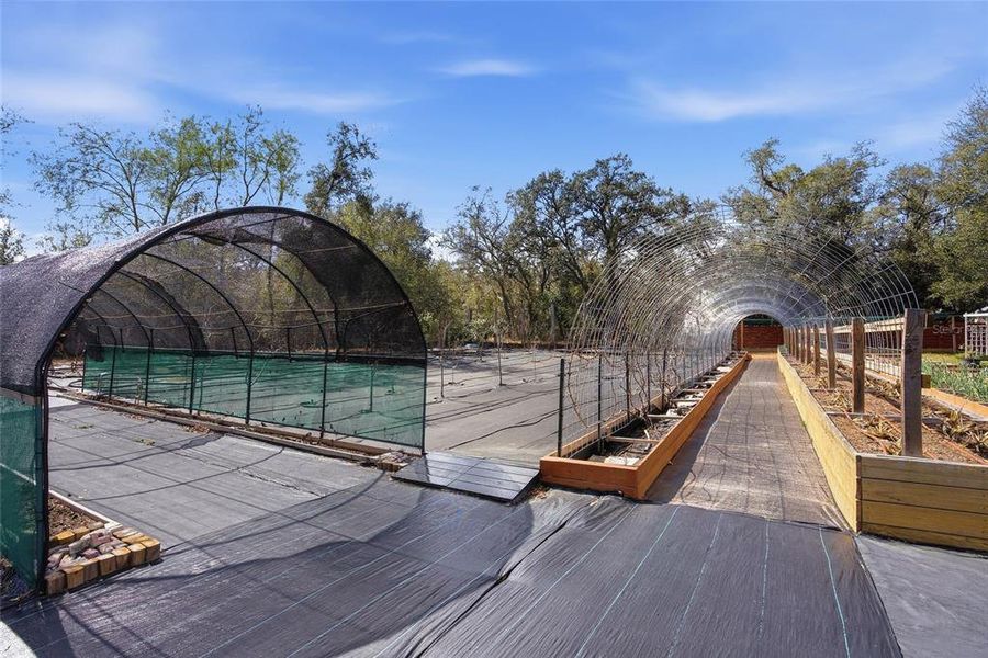 Community amenities in , Spring Hill (Image 35).