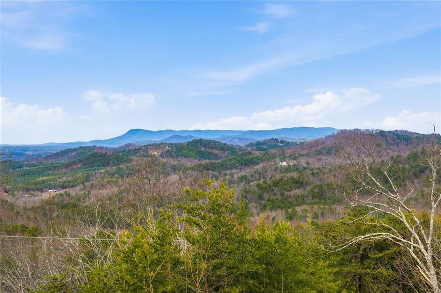 Natural landscape and outdoor views near  in Ranger (Image 44).