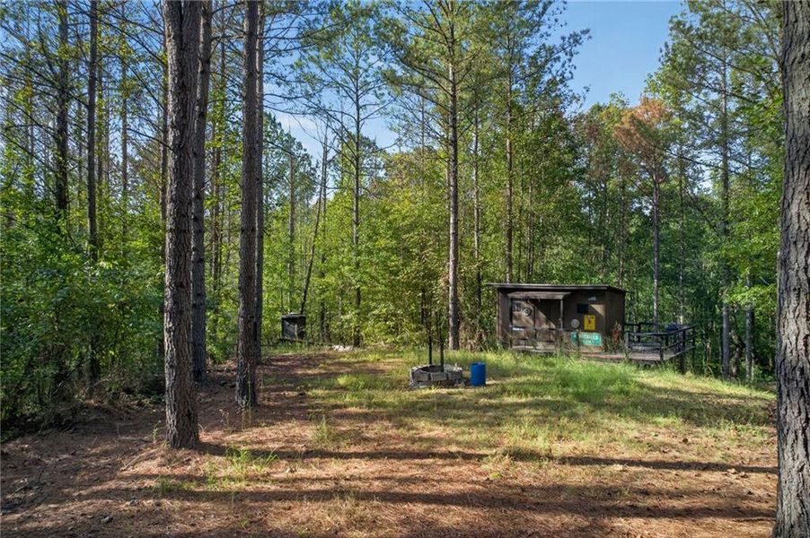 Natural landscape and outdoor views near  in Rockmart (Image 34).