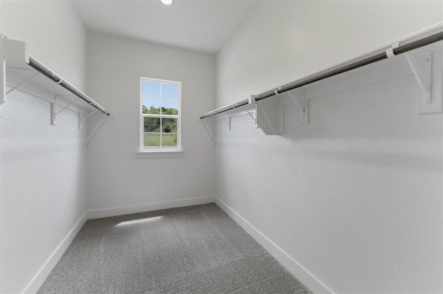 Walk-in closet featuring light gray carpeting, white walls, and a recessed ceiling light