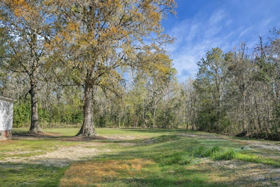 Natural landscape and outdoor views near  in Bonneau (Image 96).