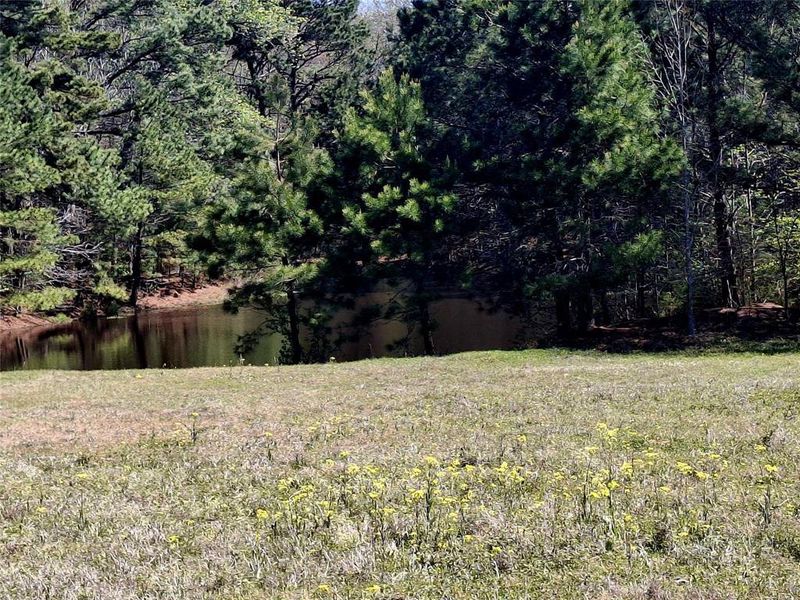 Natural landscape and outdoor views near  in Jacksonville (Image 11).