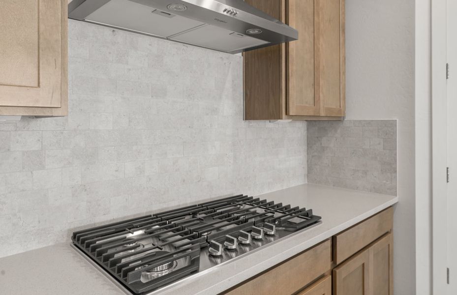 Close-up of interior finishes inside a home in Blossom Rock, Apache Junction (Image 13).