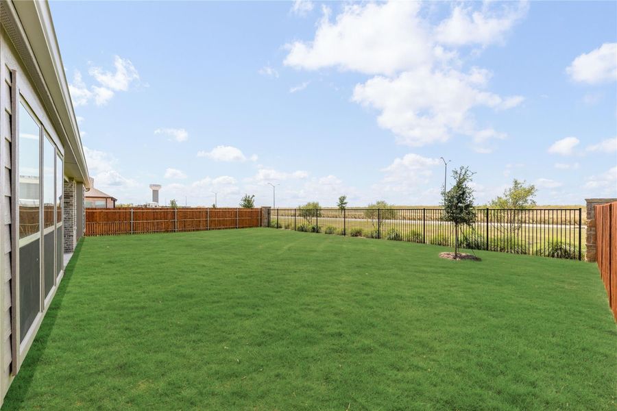 Spacious backyard with green lawn, black iron fence, wood privacy fence, and a young tree near open views.