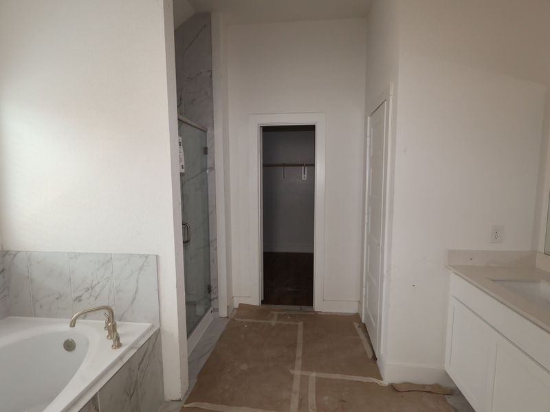 Owner's Bathroom