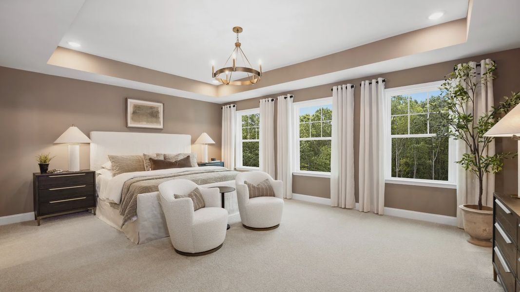 Townsend home plan expansive primary suite with lots of windows, walk-in closet and en suite bathroom