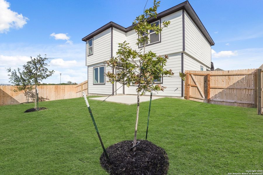 Exterior details and patio area of a home in Applewhite Meadows, San Antonio (Image 3).