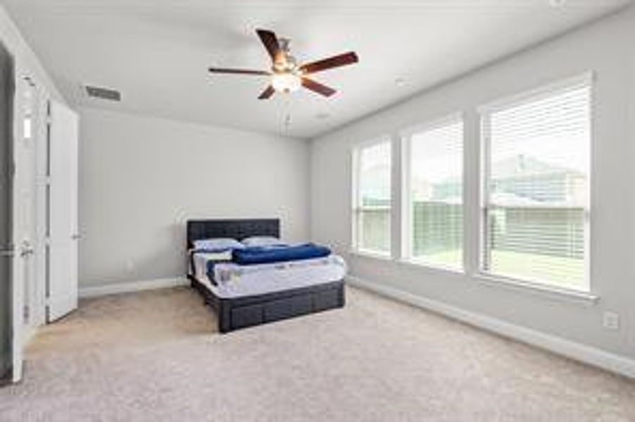 Carpeted bedroom featuring multiple windows and ceiling fan