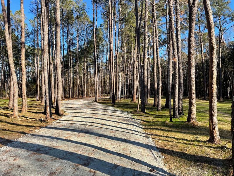 Natural landscape and outdoor views near  in Summerville (Image 12).