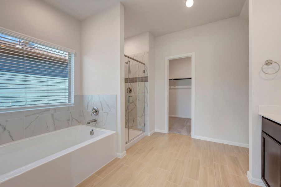 Owner's Bathroom