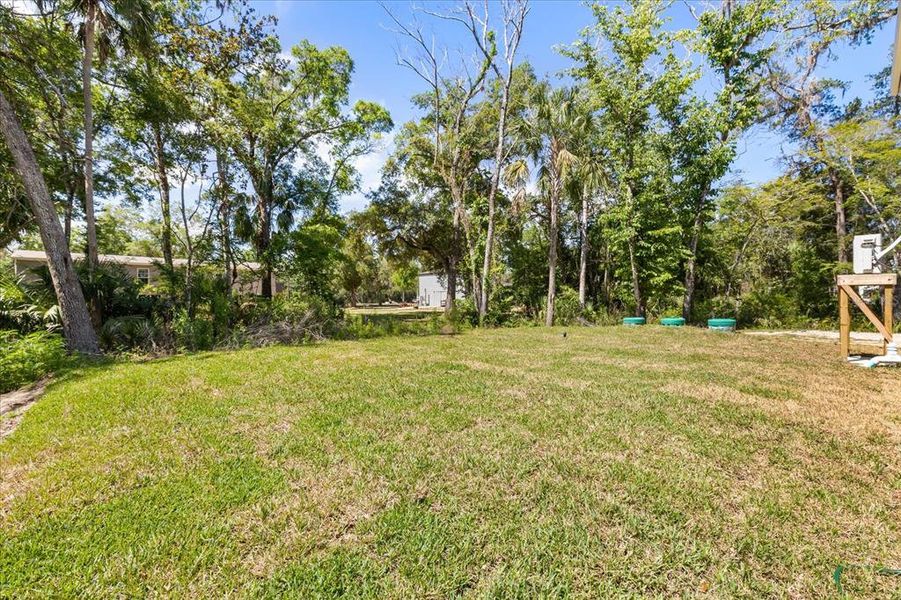 Natural landscape and outdoor views near  in Homosassa (Image 35).