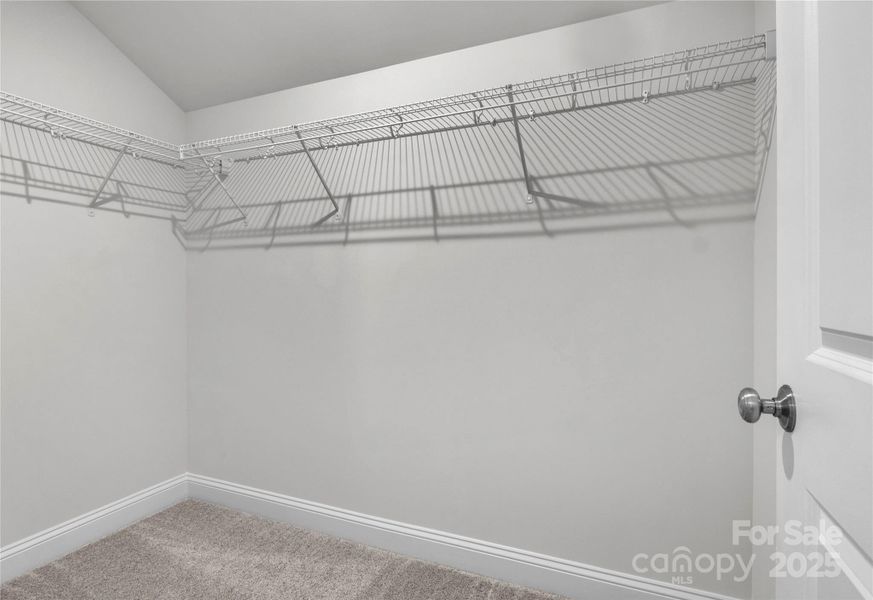 Example Photo Example Photo