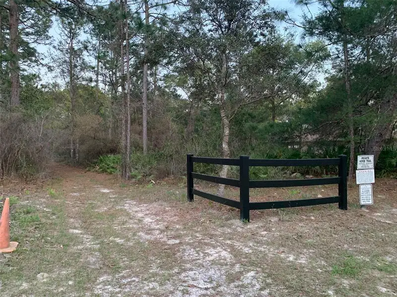Natural landscape and outdoor views near Pine Ridge in Beverly Hills (Image 5). Natural landscape and outdoor views near Pine Ridge in Beverly Hills (Image 5).