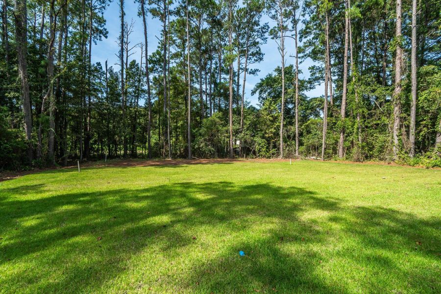 Natural landscape and outdoor views near  in Mount Pleasant (Image 112).