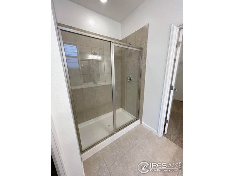 Main Bath Shower