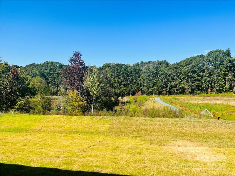 Private back yard! Private back yard!