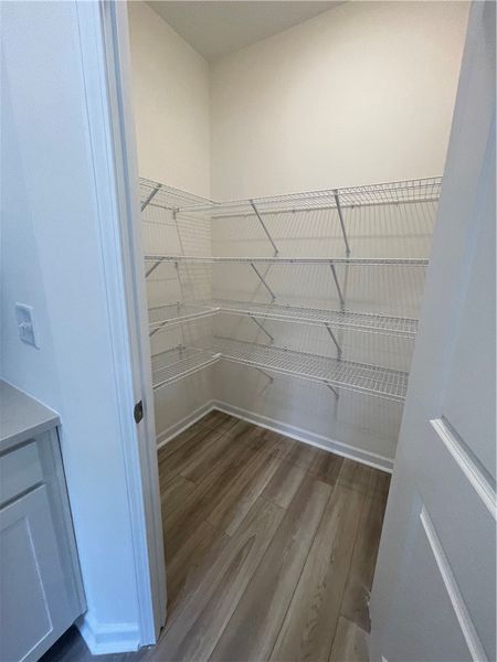 Spacious, unfurnished interior of a new home in Springwood Grove, Central (Image 20).