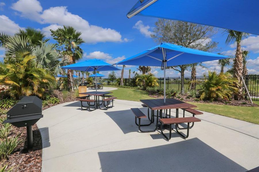 Community amenities in , Apollo Beach (Image 77).
