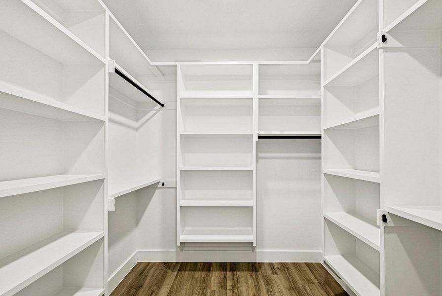 Spacious closet featuring dark wood-type flooring