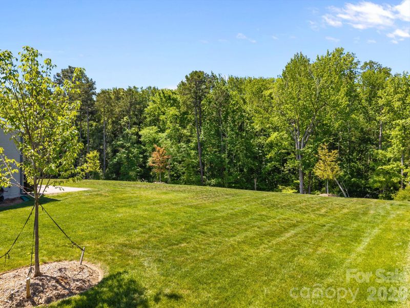 Natural landscape and outdoor views near Olmsted in Huntersville (Image 46).