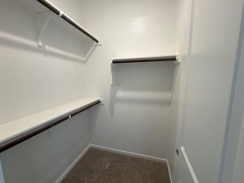 Walk in closet featuring dark carpet