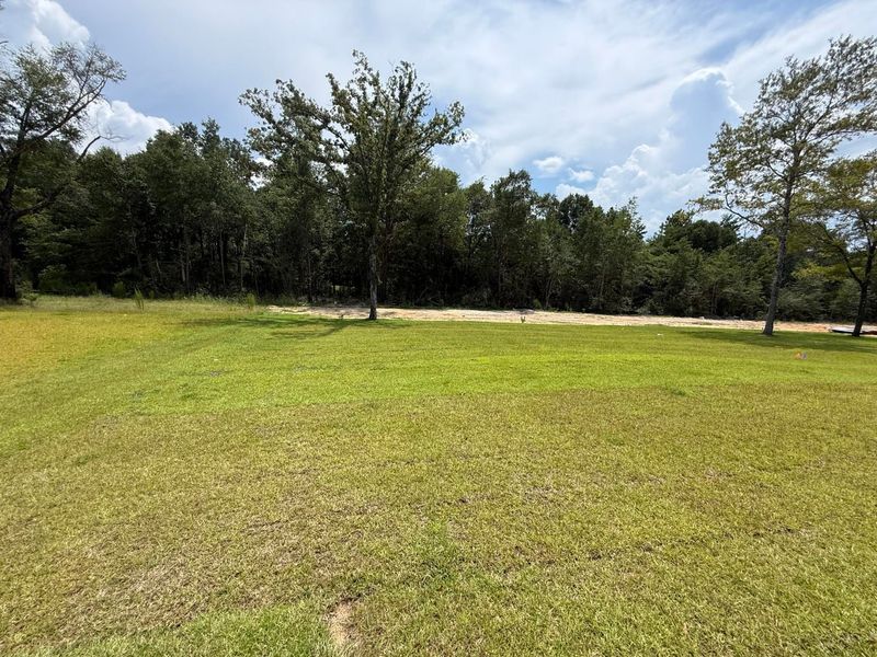 Natural landscape and outdoor views near Brookwood in Crestview (Image 29). Natural landscape and outdoor views near Brookwood in Crestview (Image 29).