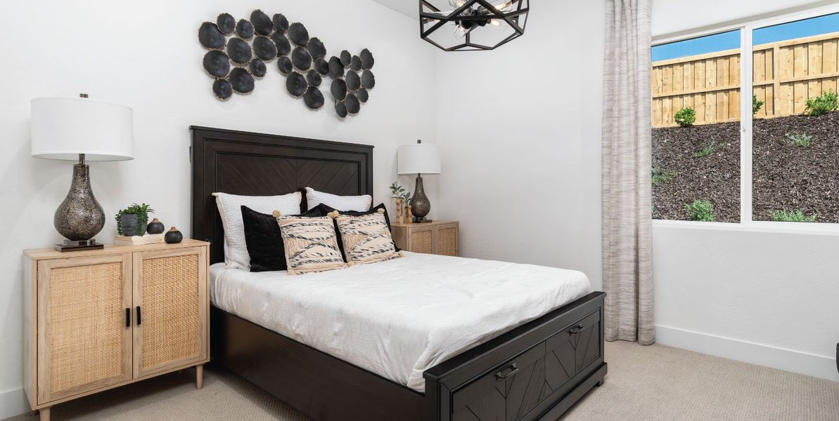 1440x724 Hilltop-Sunflower-Bed2