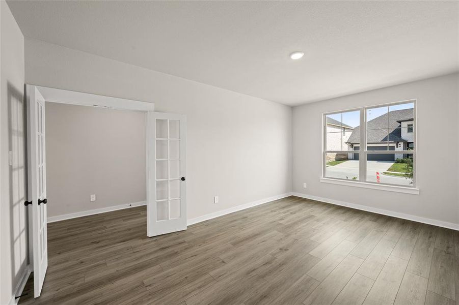 221 Whitetail- Study-1 221 Whitetail- Study-1