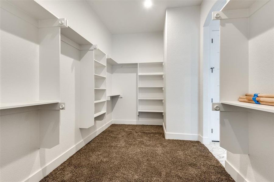 Spacious closet with dark carpet