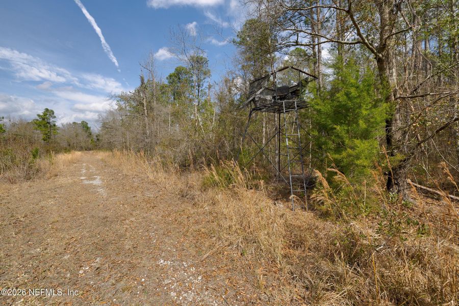 Natural landscape and outdoor views near  in Jacksonville (Image 69).