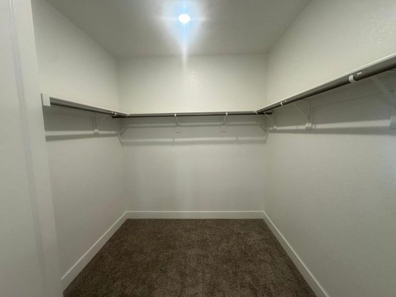 Walk-in closet with carpet flooring, white walls, built-in shelving, and hanging rods