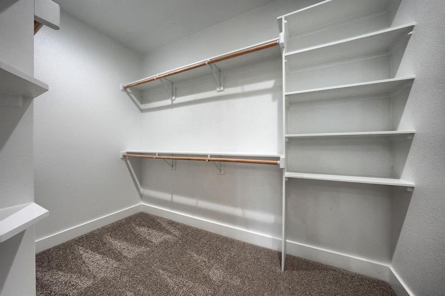 Walk in closet featuring carpet