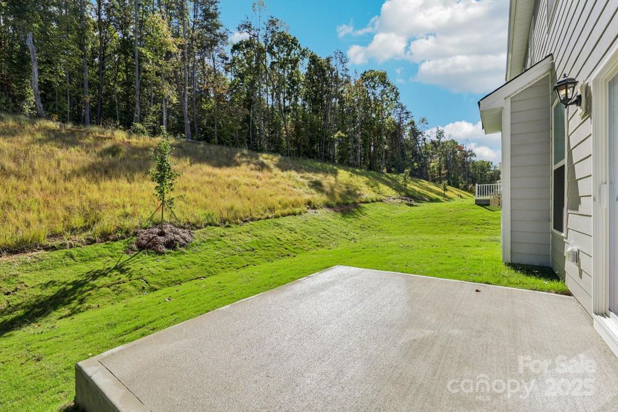 Exterior details and patio area of a home in Falls Cove, Troutman (Image 21).