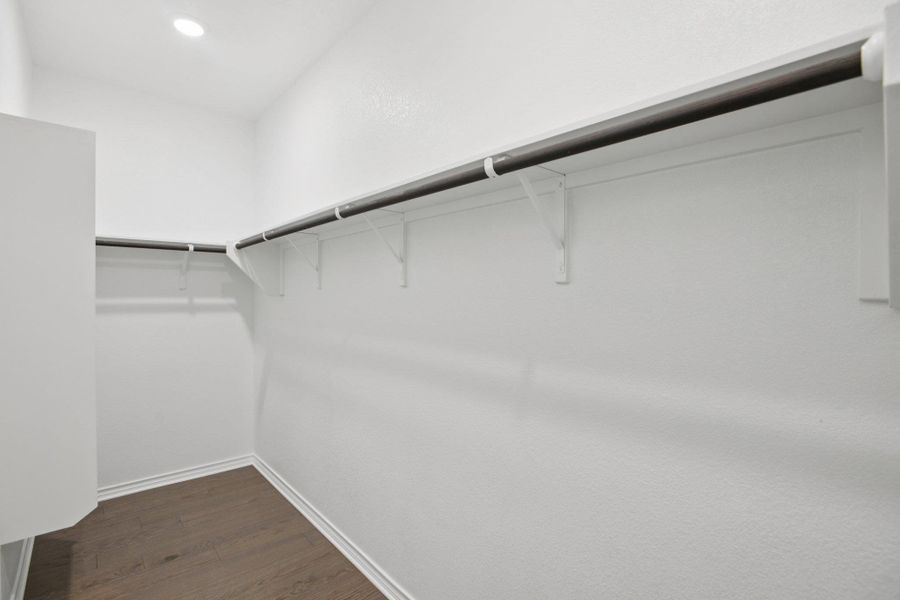 Spacious closet with dark wood-type flooring